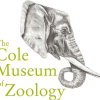 Profile image for colemuseumzoology