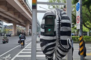 Taipei Zebra in Taipei, Taiwan