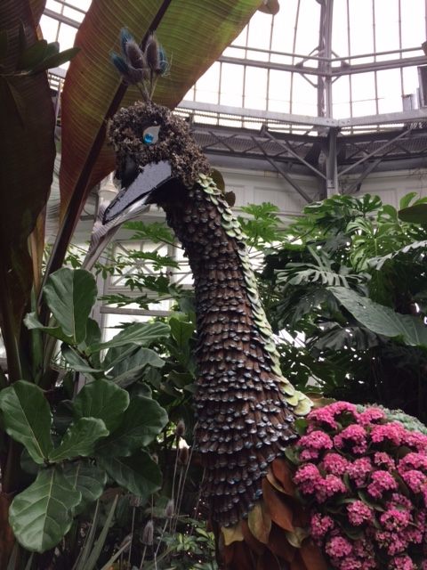 The quizzical bird is made from dissected pinecones, plus teasel and kalanchoe.