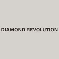 Profile image for diamondrevolution14