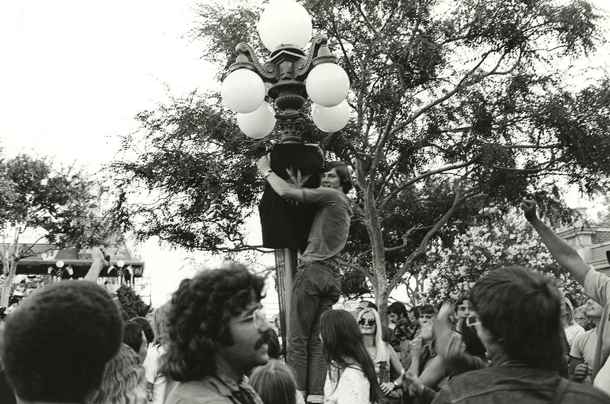 A yippie hangs one of their flags from a lamppost.