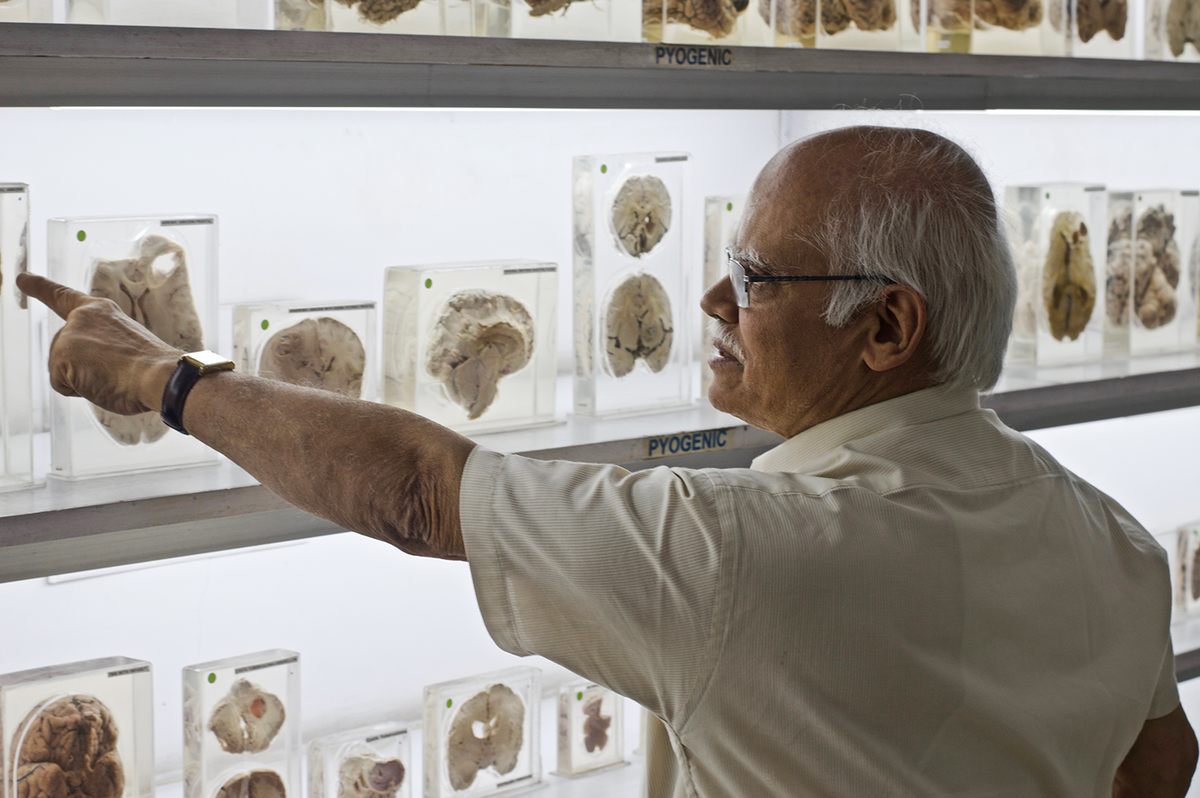 Visitors Can Touch Human Brains at This Indian Neuroscience Institute -  Atlas Obscura