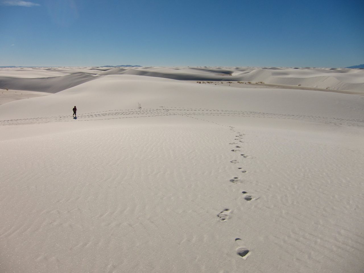 Modern footprints speckle the Alkali Flat Trail at White Sands—and around the area, oodles of prehistoric footprints are buried beneath the sand.