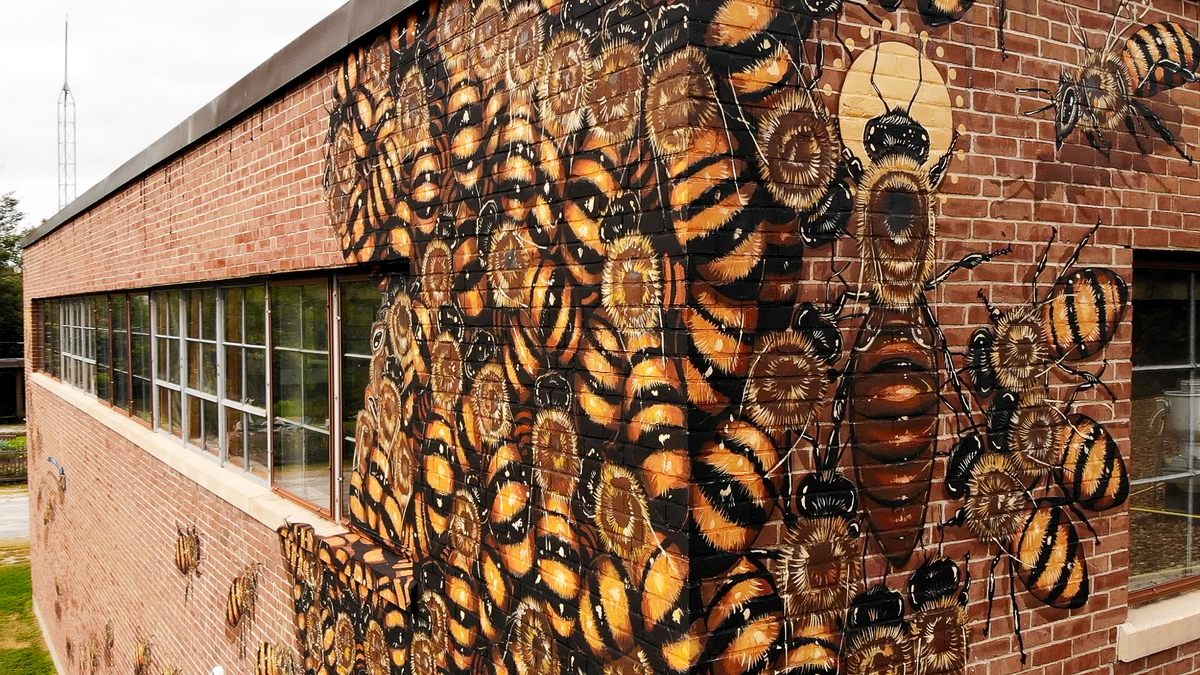 Two women who keep bees in Peterborough, New Hampshire, helped recruit Willey to paint this mural on brick.