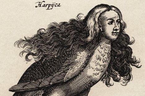 A harpy in Ulisse Aldrovandi's Monstrorum Historia, Bologna, 1642