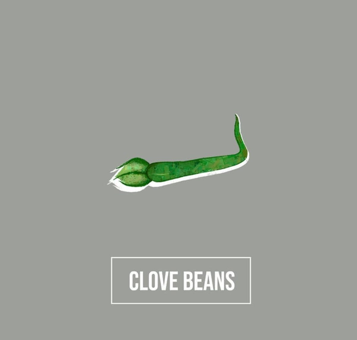 Clove beans, or <em>mookuthi avarai</em>, are a "country vegetable," a hyperlocal vegetable traditionally grown in backyards or foraged.