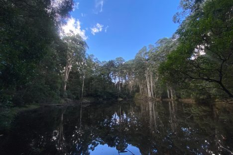 Sanatorium Lake