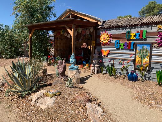 Cactus Joe's Blue Diamond Nursery