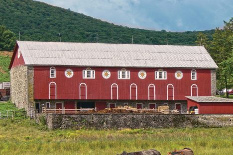 Hex signs can be seen on the side of this barn at Hawk Valley Farms. 
