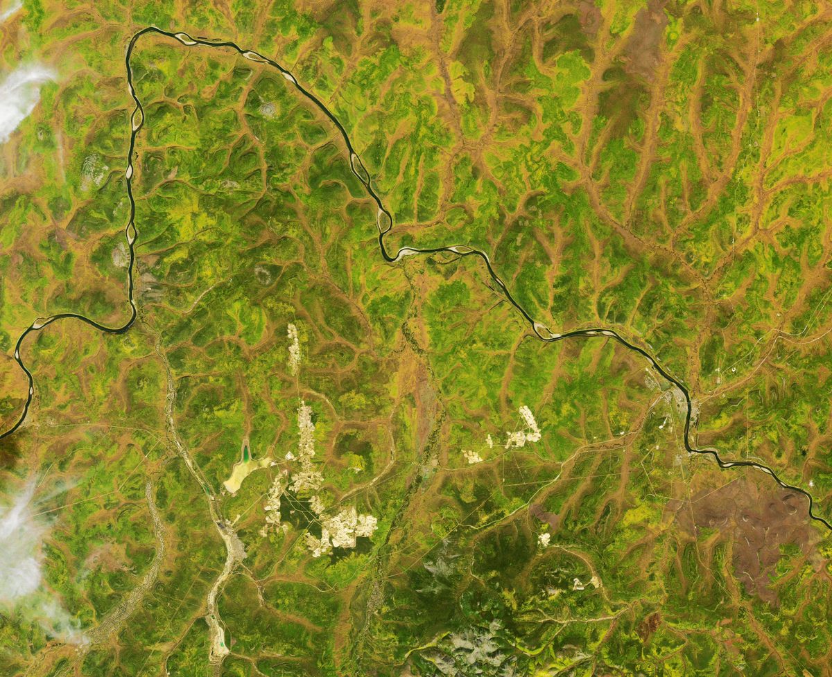 The Aldan River arcs across the top third of this natural color satellite image, which also captures scars from large-scale open pit mining, visible near center. The area of gold dredging is marked by the more subtle marks at lower left.