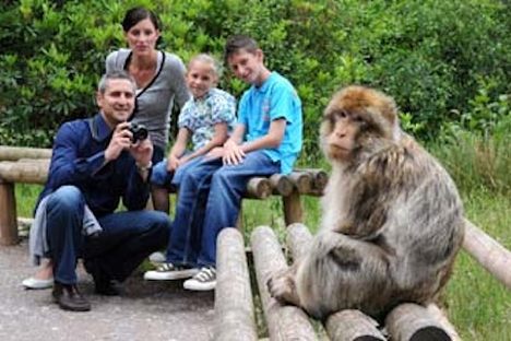 Families can get up close and personal with the endangered animals.