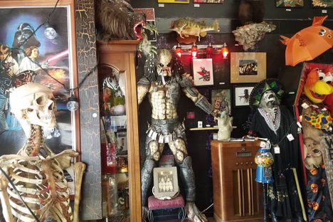 The Secret Chamber House of Oddities and Artwork 