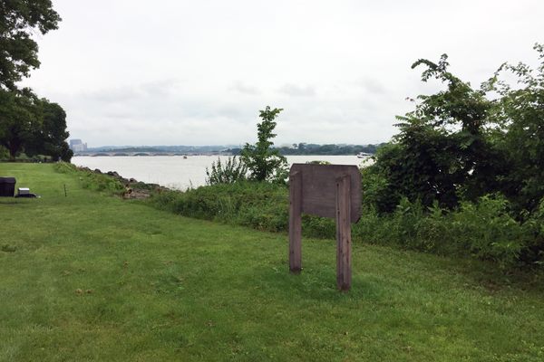 The sign is blocked by overgrown weeds.
