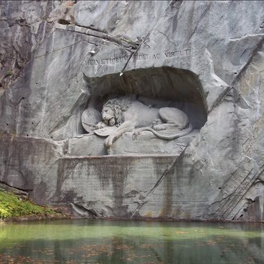 Sleepy Lion
