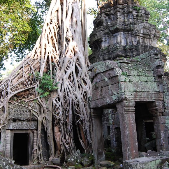 Ta Prohm – Siem Reap, Cambodia - Atlas Obscura