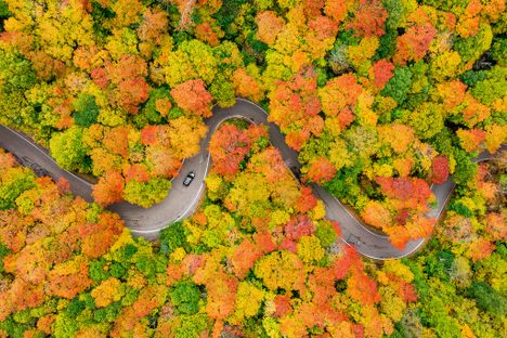 Smugglers' Notch Fall Foliage