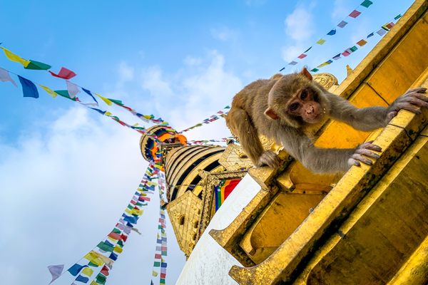 46 Cool and Unusual Things to Do in Nepal - Atlas Obscura
