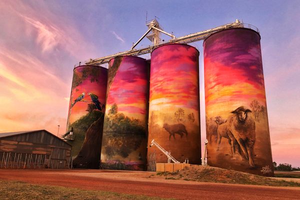 These four 98-foot-tall silos in Thallon, Queensland, took Brisbane artists Joel Fergie (aka The Zookeeper) and Travis Vinson (aka Drap) three weeks to paint. 