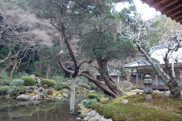 The pond and temple. 