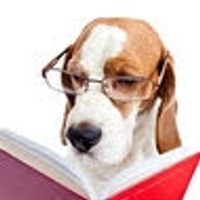 Profile image for bookdog101