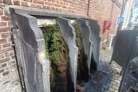 The Hanging Gardens of Leuven 