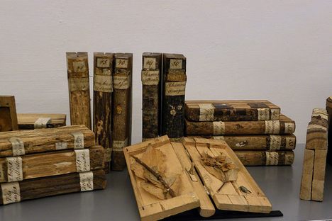 Xylotheks: Wondrous Wooden Books That Hold Wooden Collections