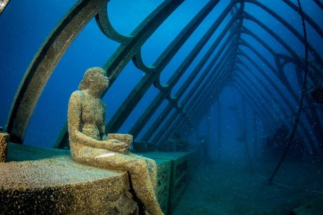 "Coral Greenhouse" on John Brewer Reef