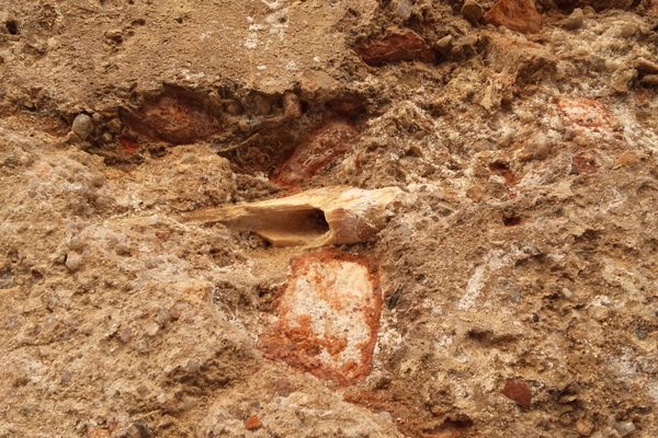 Embedded human bones in the wall.