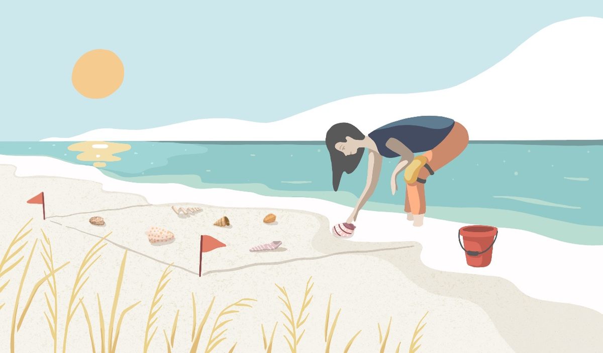 Dividing the shore up into smaller sections can make it easier to zero in on shells.