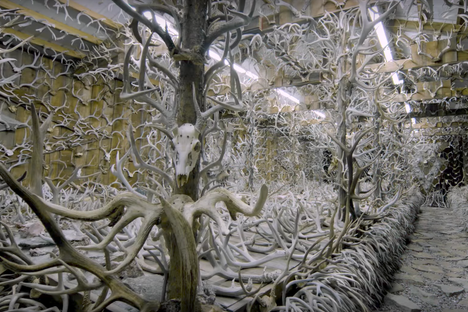 Looking down an antler-infested corridor