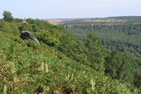 Wellington Monument with Birchen Edge in the background