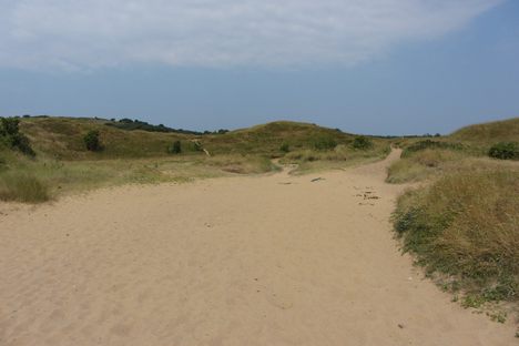 Merthyr Mawr