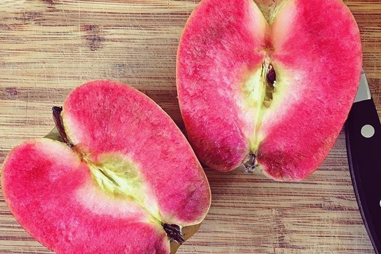 Pink Pearl Apple - Fruit That Starts With P