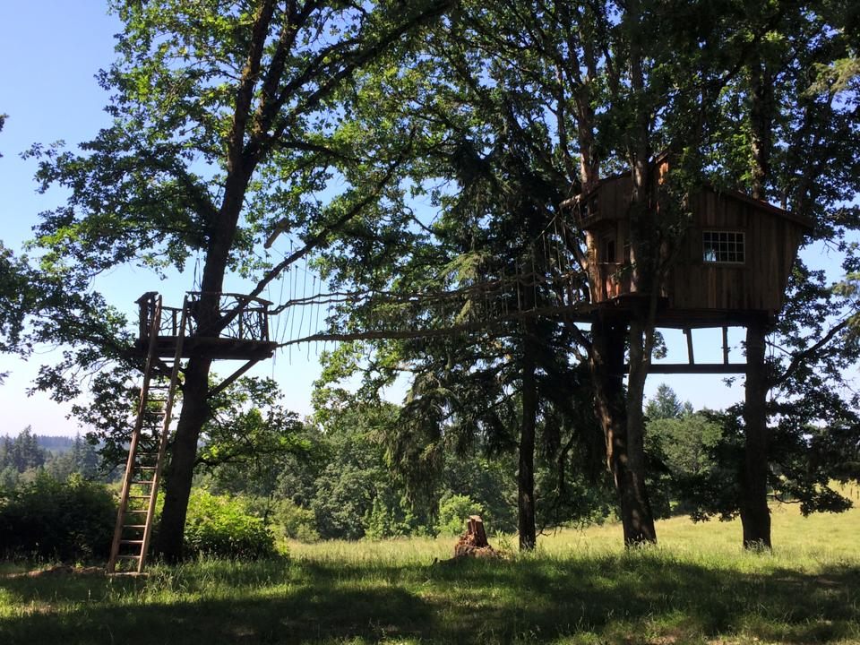 One of the "schoolrooms" of Tree Climbing Planet.
