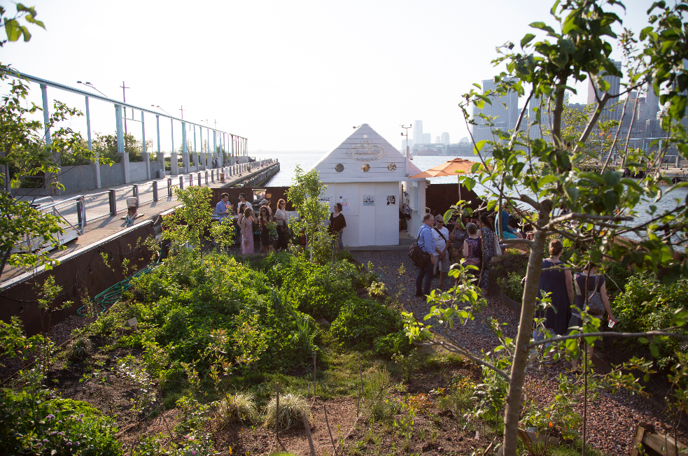 Swale hosts events and workshops to help visitors understand the plants on board.