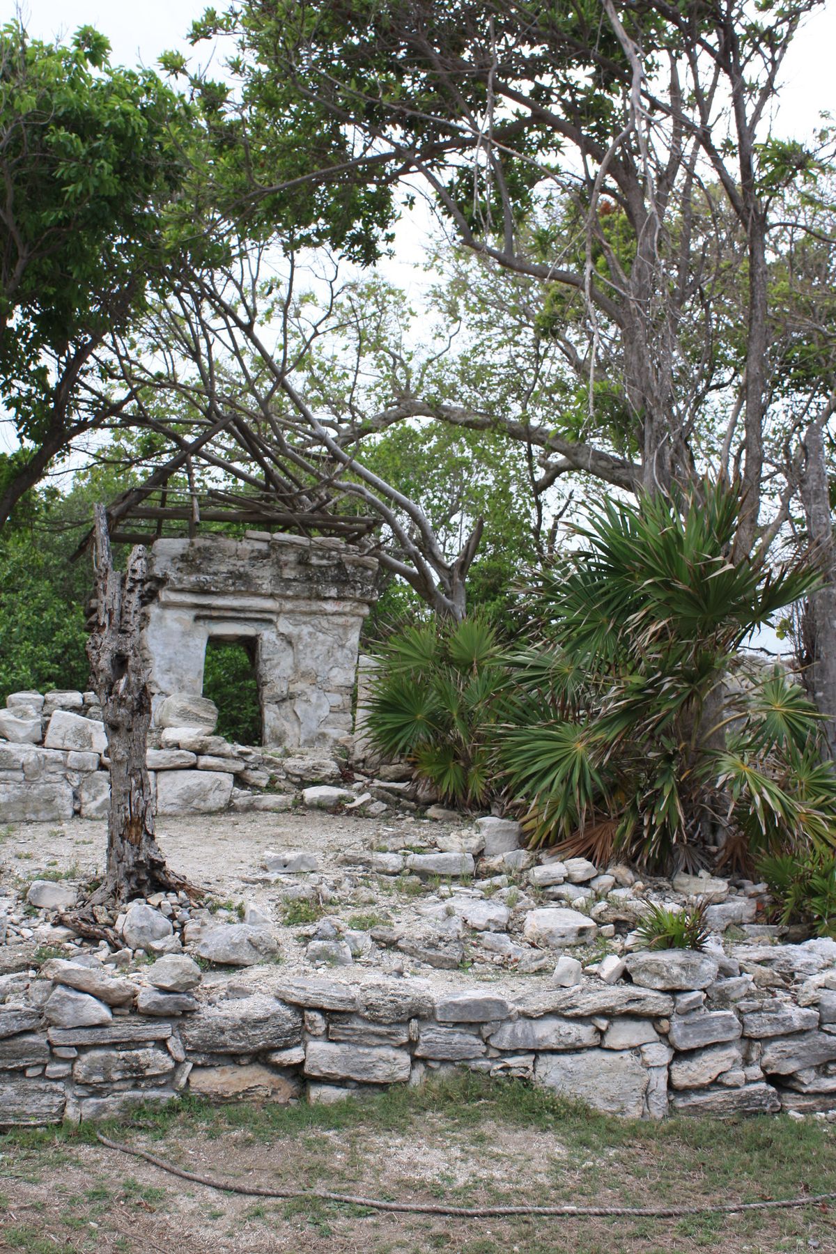 atlas obscura playa del carmen