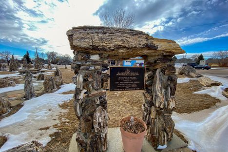 Petrified Wood Park
