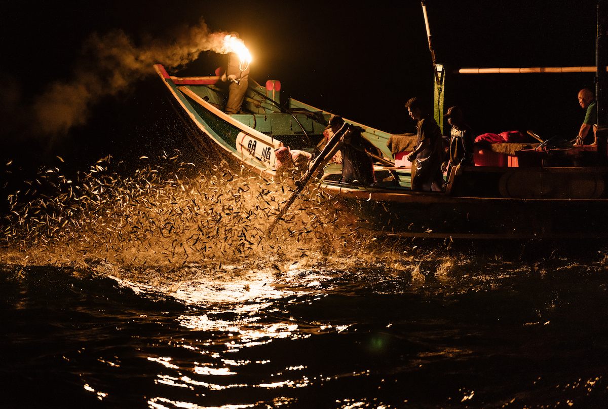 The fishermen are ready with their nets as sardines leap toward the fire. 