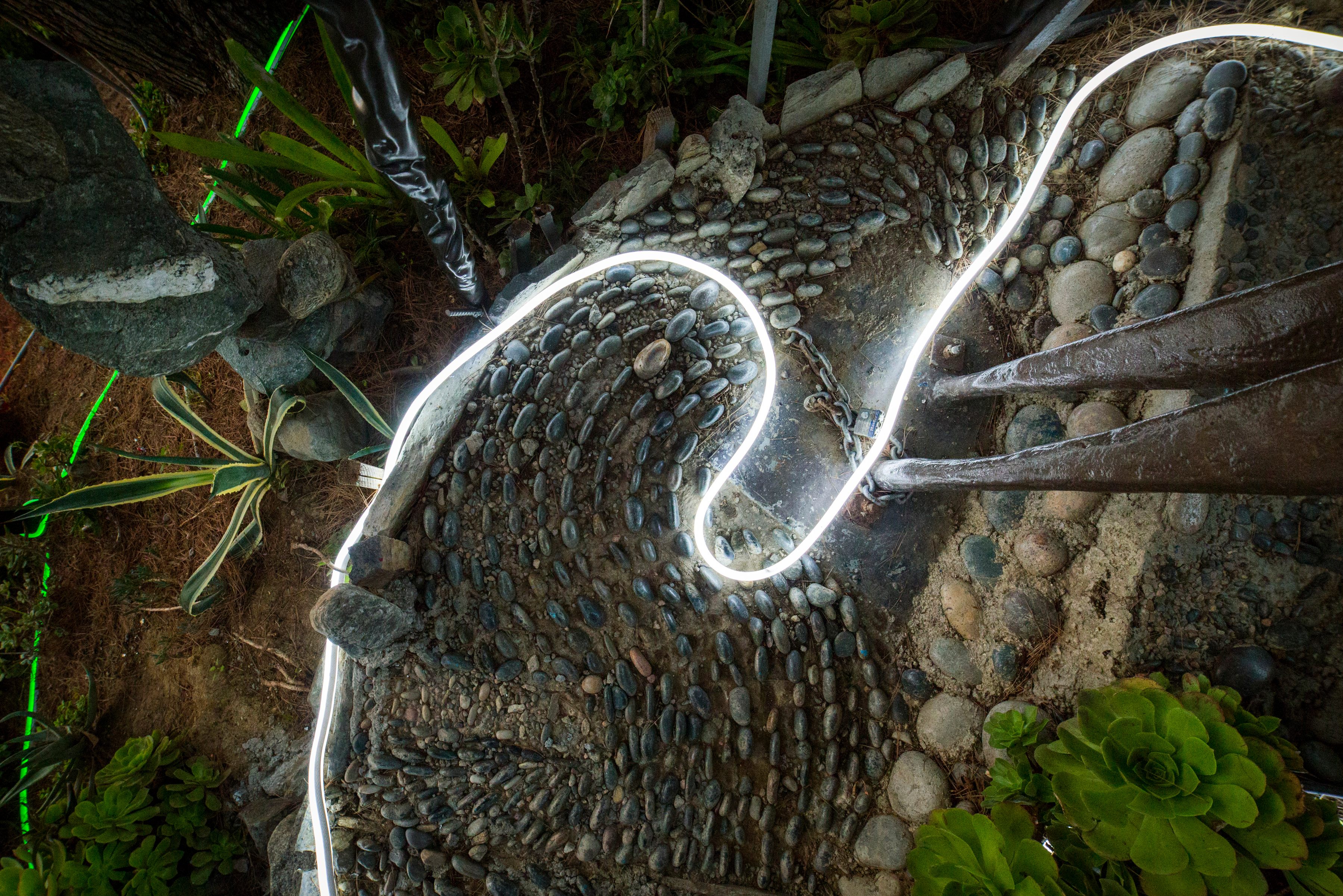 A serpentine ground light snakes its way through the garden. 