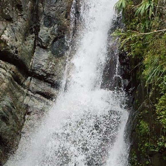 Top 28+ Wallpapers cascada la mina (la mina falls) Full HD, 2k, 4k