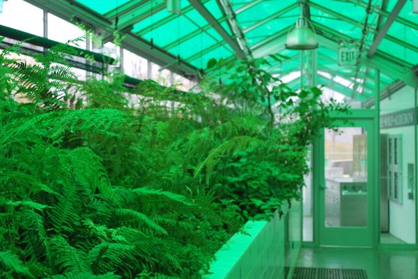 Neukom Vivarium