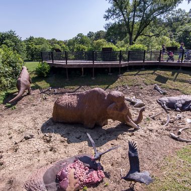 The diorama pit in Big Bone Lick State Historic Site depicts a scene of the mammoths, mastodons, and bison that frequented the area thousands of years ago.