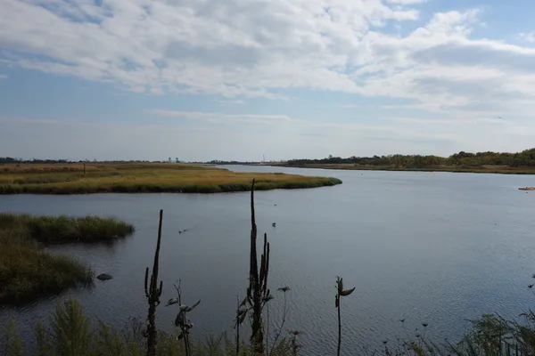 The salt marsh south of the nature center.