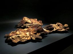 Qilakitsoq mummies at the Greenland National Museum.