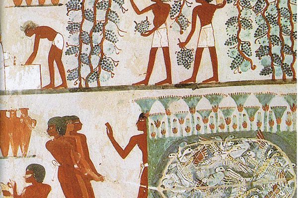 Tomb paintings can tell us a lot about the Ancient Egyptian diet because they often depict food offerings, hunting, and agriculture.