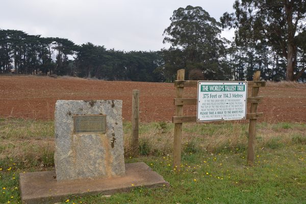 marker and information panel