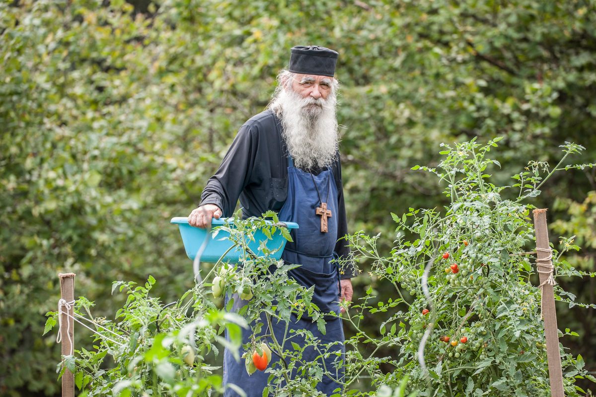 In the monastery garden.
