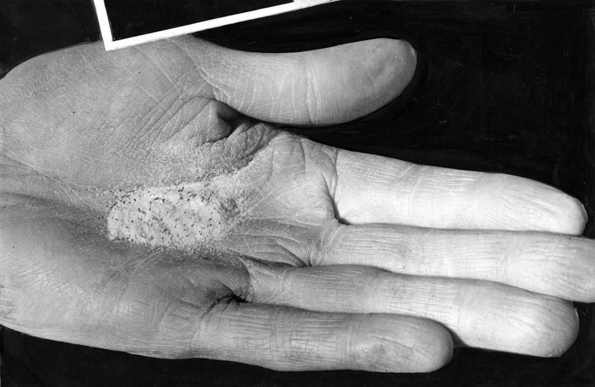 From a 1941 article in the
<em>Philadelphia Evening Bulletin</em>, "One-half million orchid seeds in the palm of a hand."