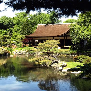 Summer at Shofuso