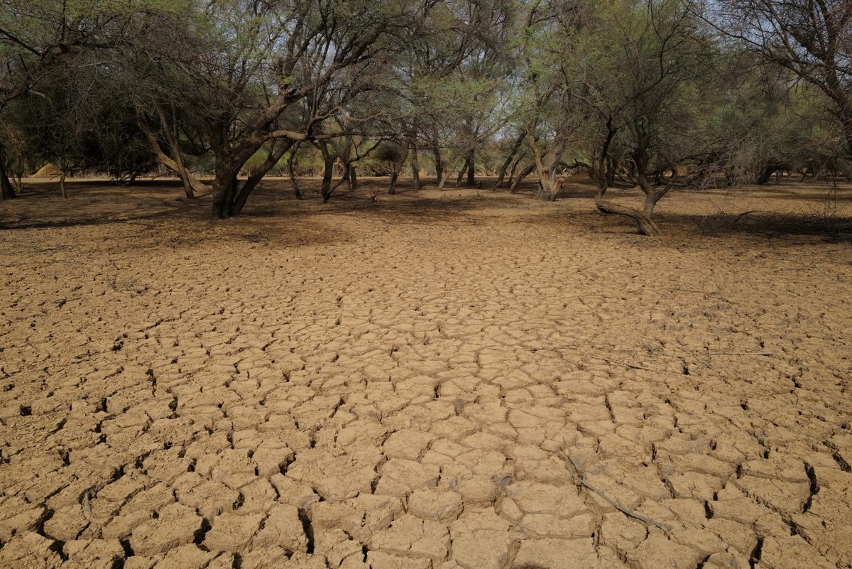 Desertification is an increasing threat across Africa's Sahel region, the arid belt south of the Sahara Desert.